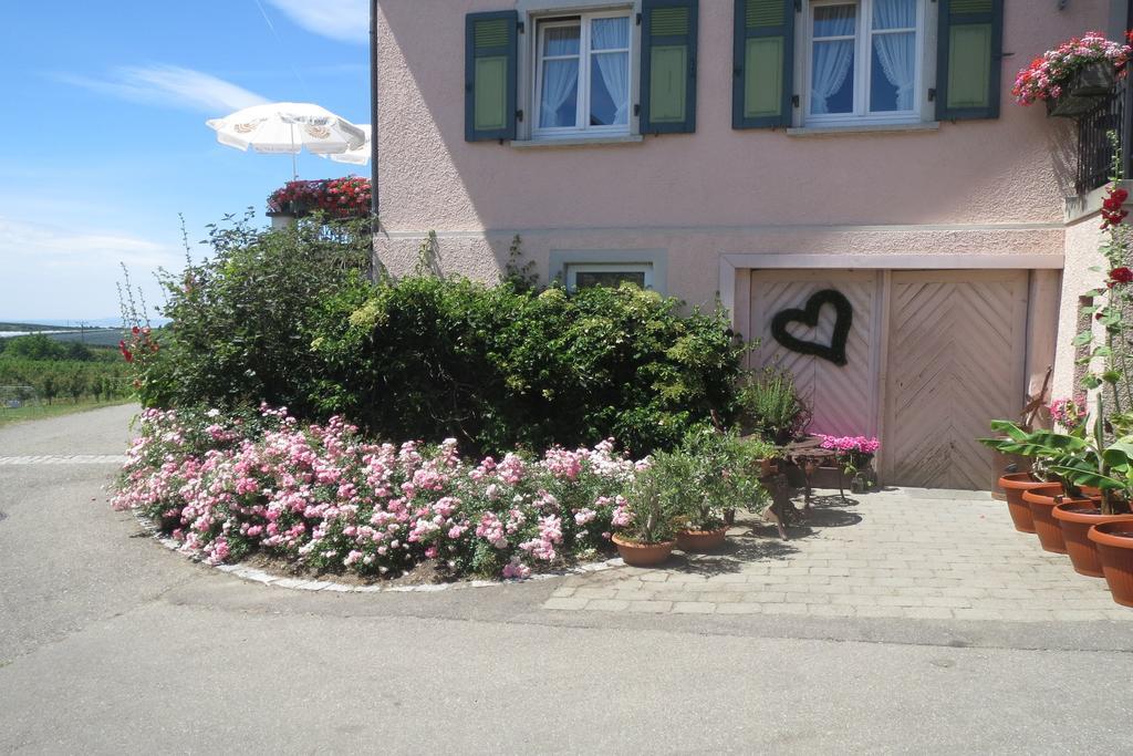 Gaestehaus Frohe Aussicht เครสส์บรอนน์ อัม โบเดนเซ ภายนอก รูปภาพ